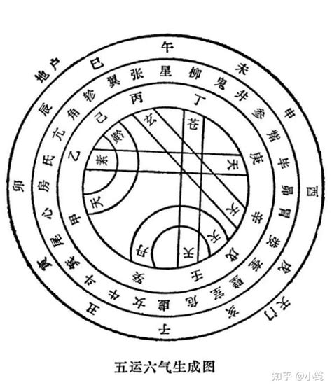 甲己合化土